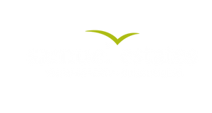 SE Logo 2023 - White.png